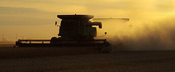 Photo of a combine at sunrise on a Logan County Farm
